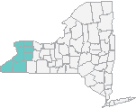 Niagara Buffalo Area