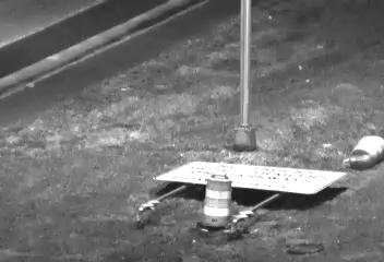 909C at Tyrellan Avenue live webcam