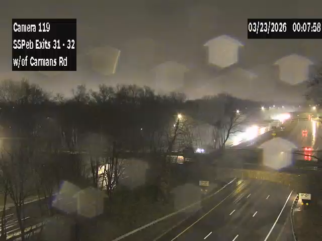 SSP at Carmans Rd live webcam