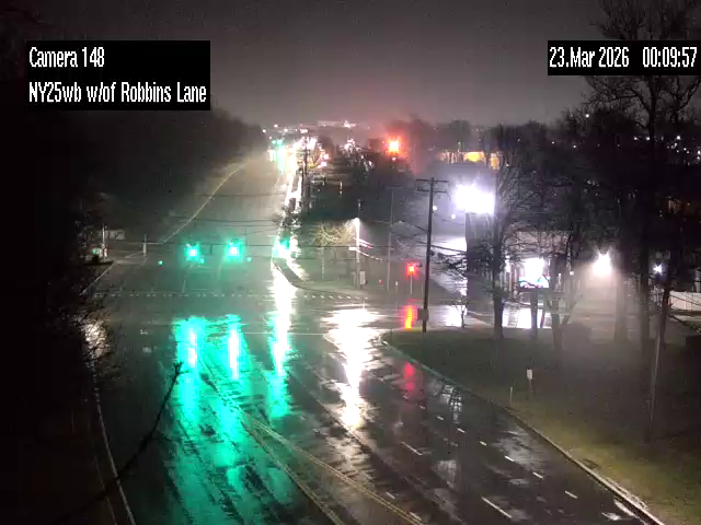 NY 25 at Robbins Lane live webcam