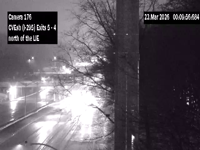 295 Just South of VMS66 live webcam