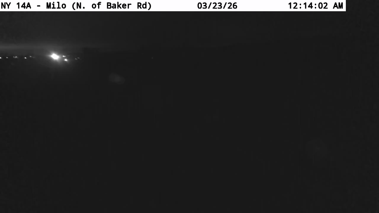 NY 14A - Milo live webcam