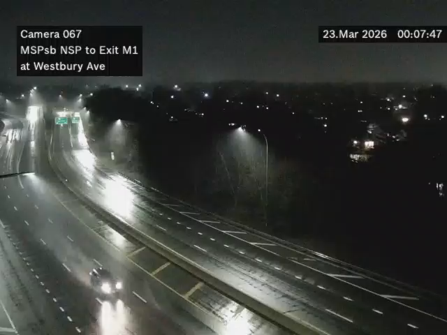 MSP at Westbury Ave live webcam