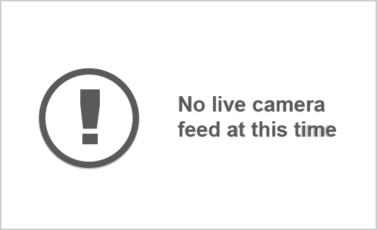 Webcam a Buffalo